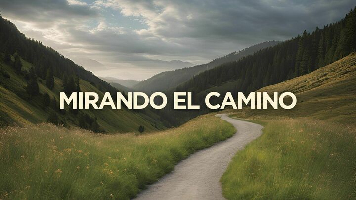 Mirando el camino